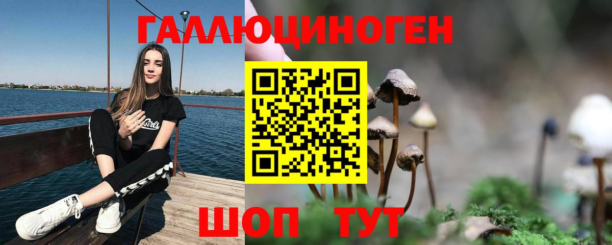 Кушва  Псилоцибиновые грибы Magic Shrooms  Вход с VPN 