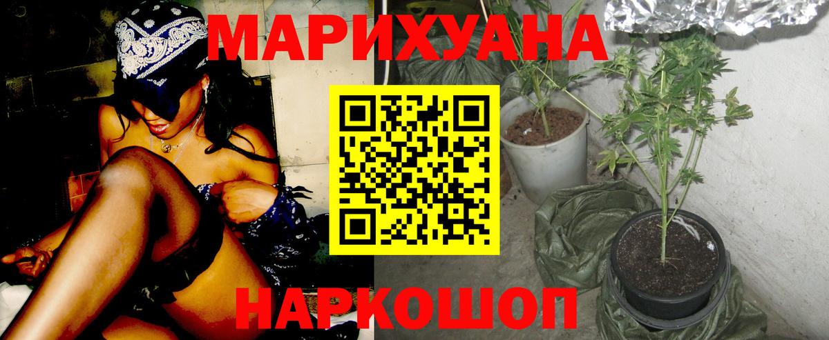 Кушва  Шишки марихуана сатива  Каннабис MAZAR  Вход с VPN 