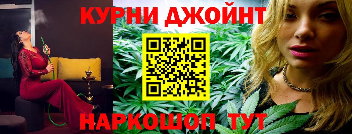 Каннабис конопля Кушва